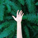 セルフ脈診のやり方や方法は？１日１度チェックし心筋・脳梗塞を回避！